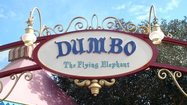 Pictures: Fantasyland's Dumbo -- old, new and times dual during Disney World