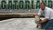 Photos: Gatorland by a years