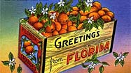 Photos: Greetings from Florida -- classical postcards