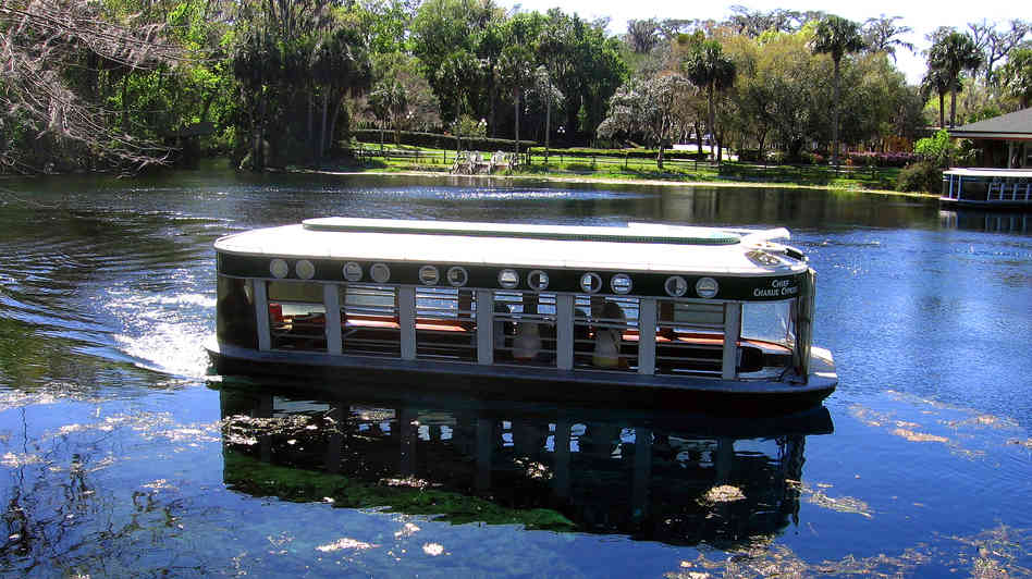 A glass-bottomed vessel glides along H2O in Silver Springs, Fla. The springs, once a vital traveller destination, have declined both in volume and in H2O quality.