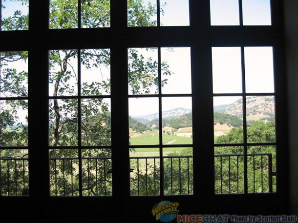 The perspective from a windows inside a winery. 